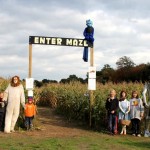 Corn Maze Entrance