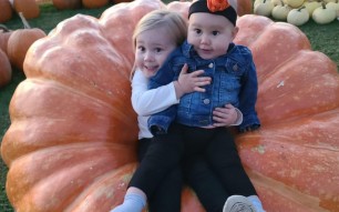 Facebook Photo Contest Winners